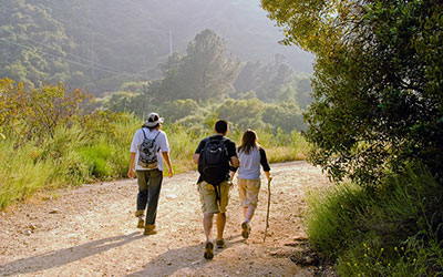 three hikers walking through nature